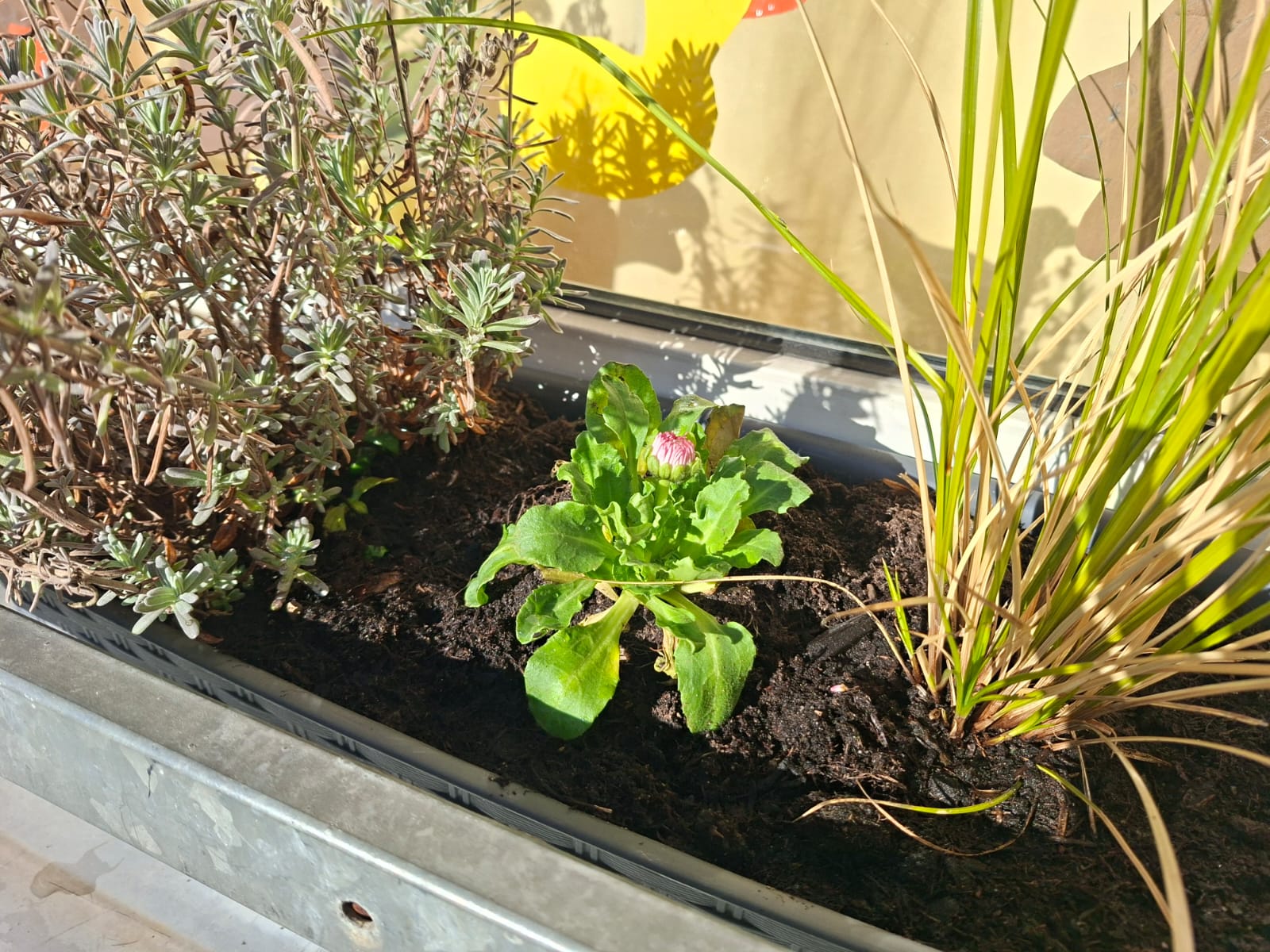 PHOTO 2026 02 25 11 46 03